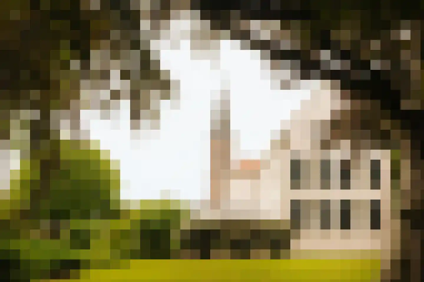 Lindenplein 1 Noordwijk thumbnail 24