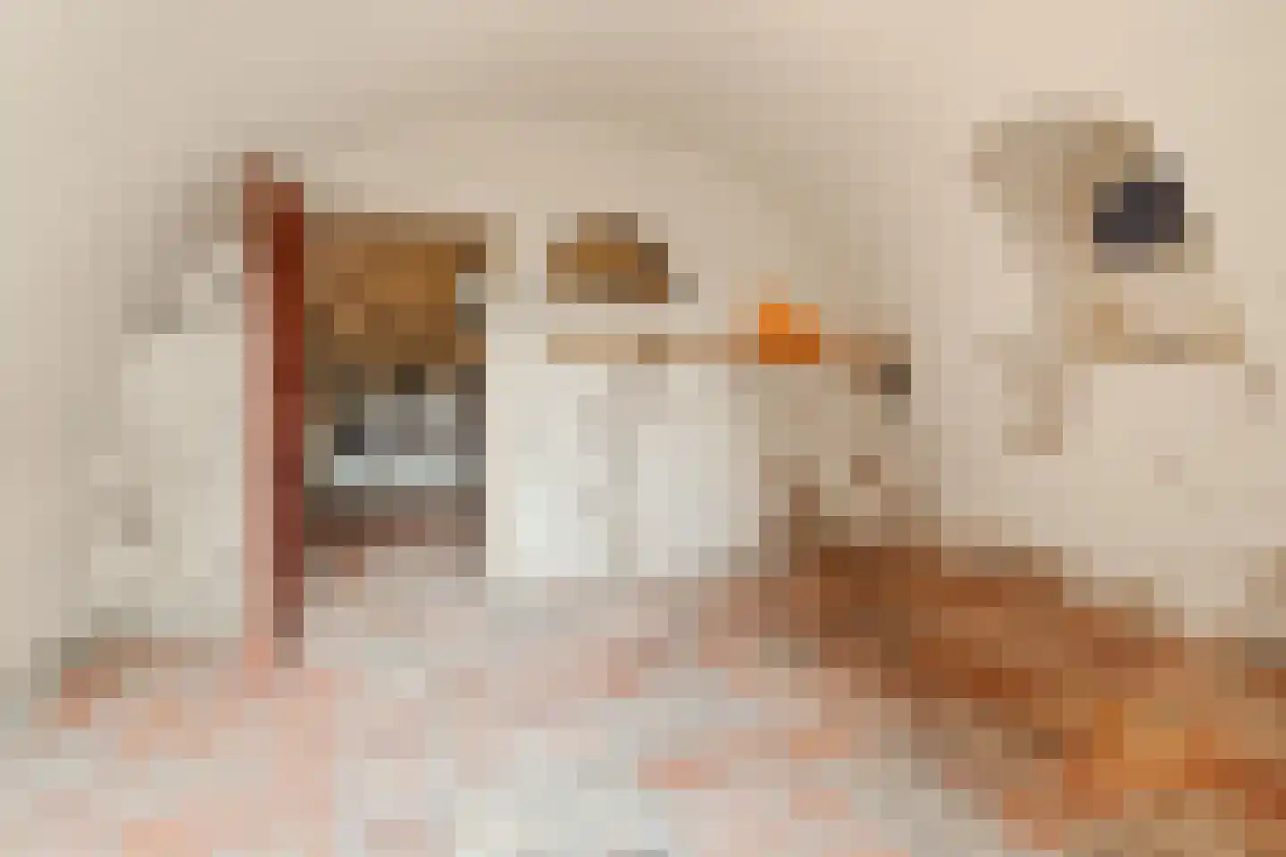 Lindenplein 1 Noordwijk thumbnail 25