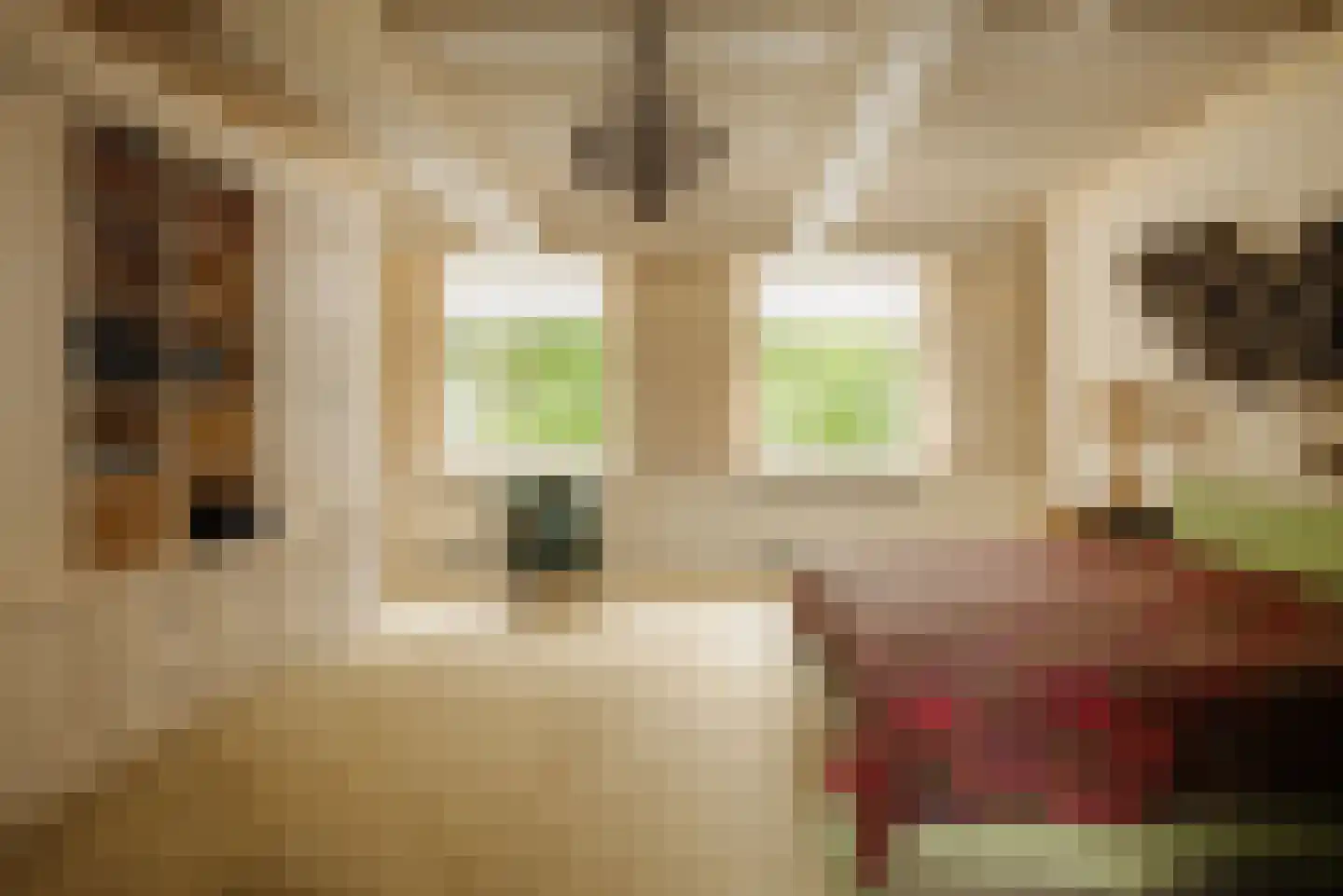 Lindenplein 1 Noordwijk thumbnail 42