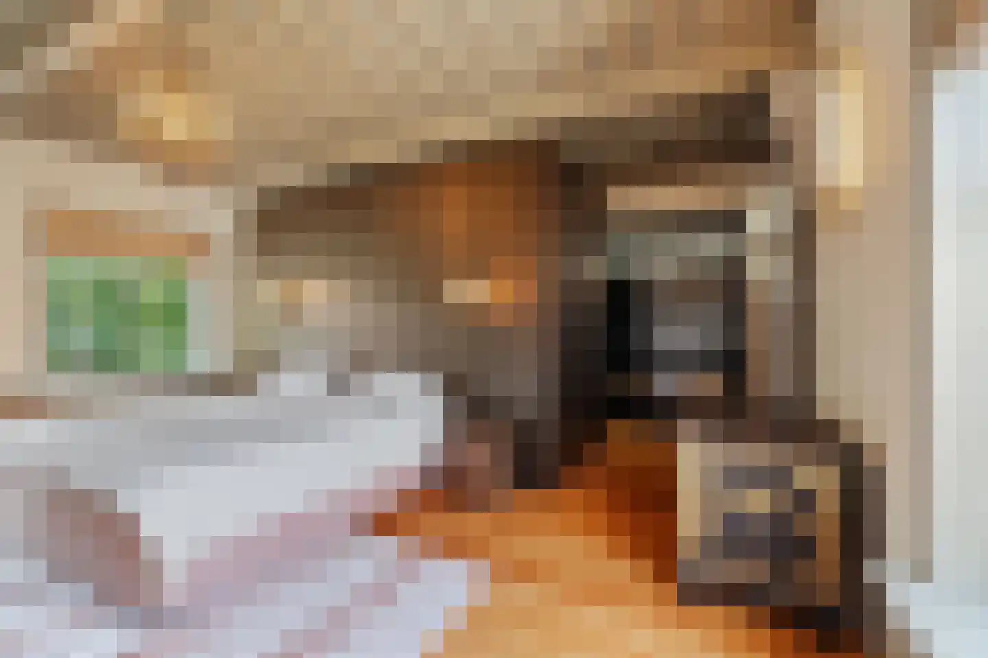 Lindenplein 1 Noordwijk thumbnail 46