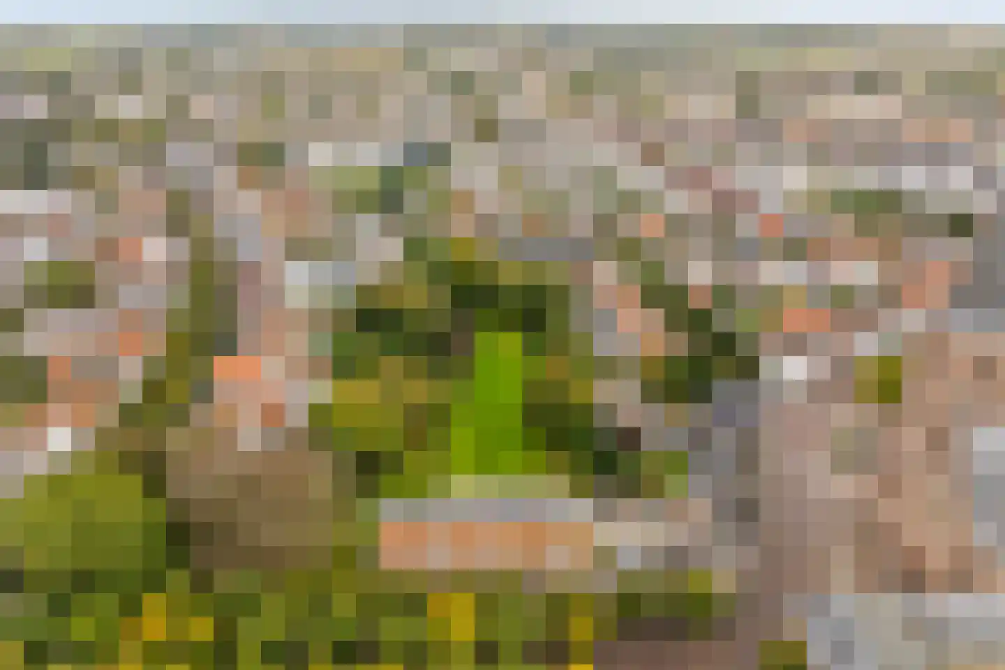 Lindenplein 1 Noordwijk thumbnail 5