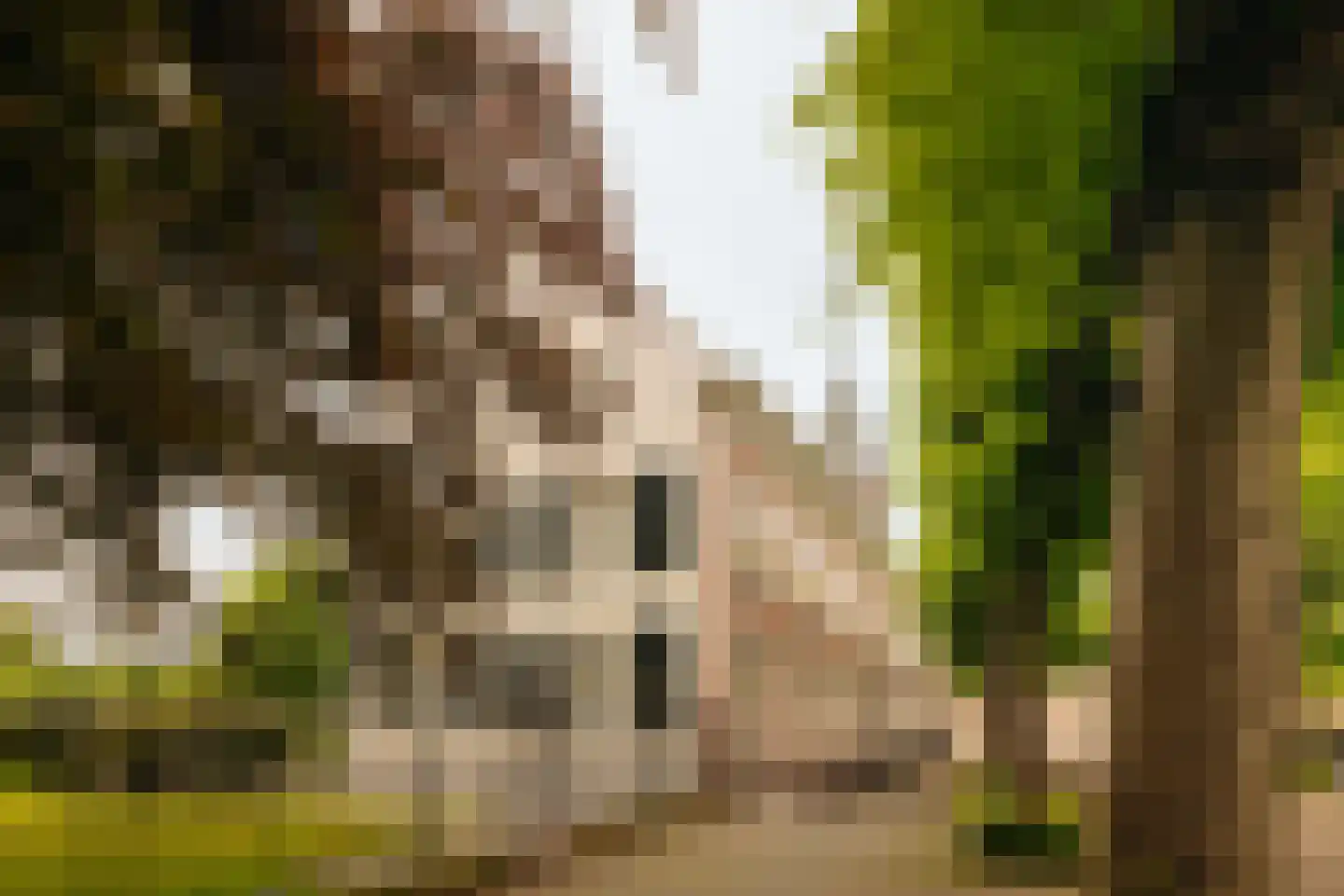 Lindenplein 1 Noordwijk thumbnail 56