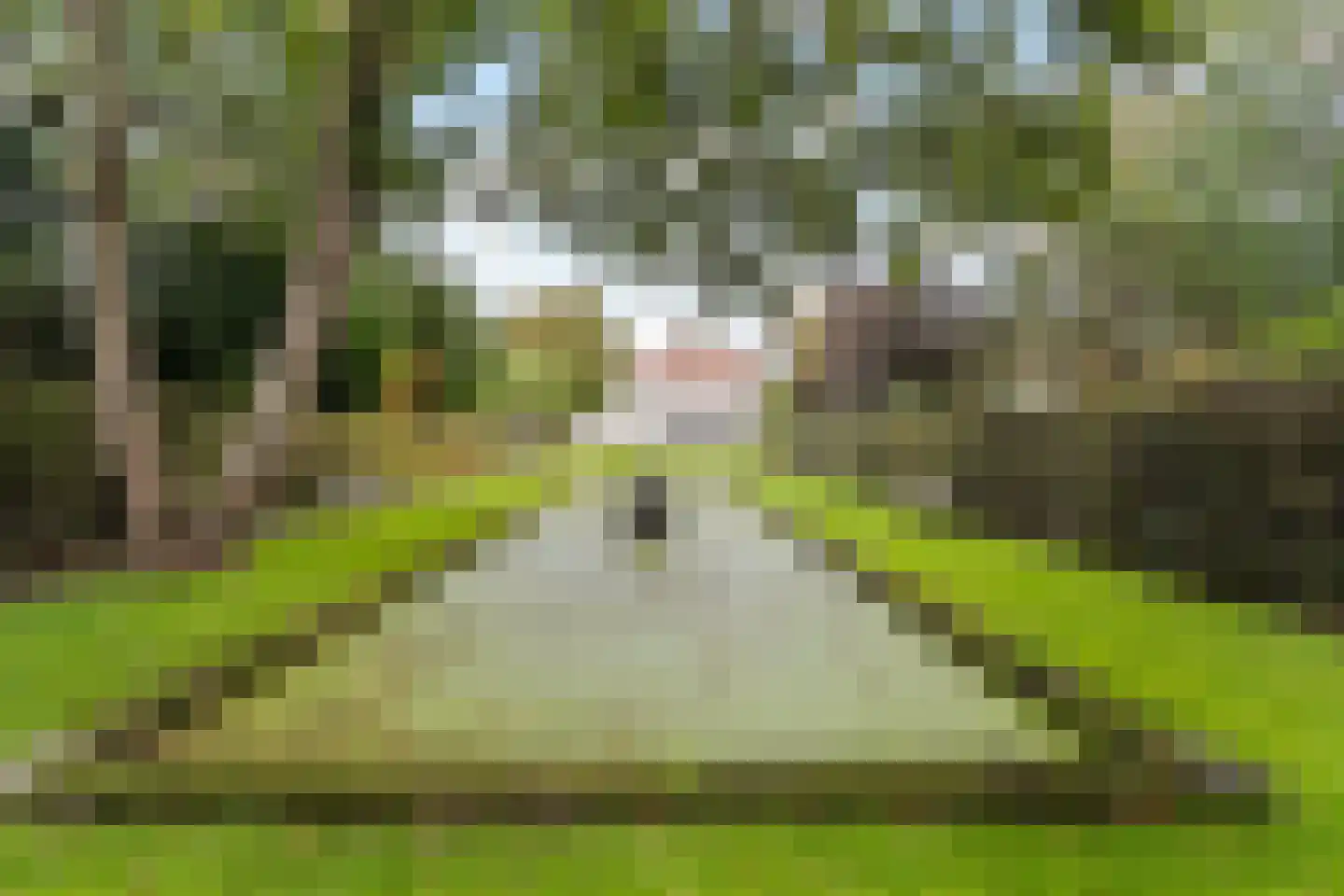 Lindenplein 1 Noordwijk thumbnail 64