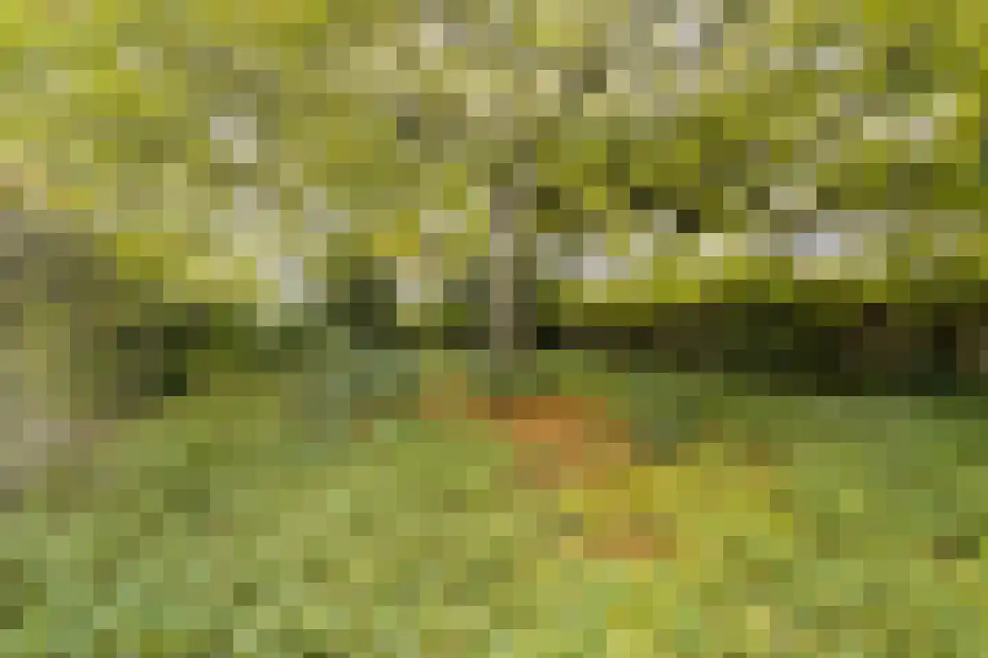 Lindenplein 1 Noordwijk thumbnail 65
