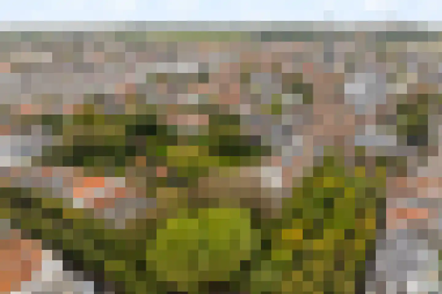Lindenplein 1 Noordwijk thumbnail 68