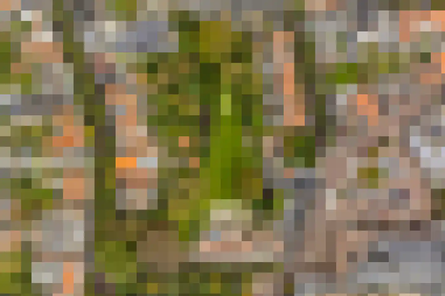 Lindenplein 1 Noordwijk thumbnail 69