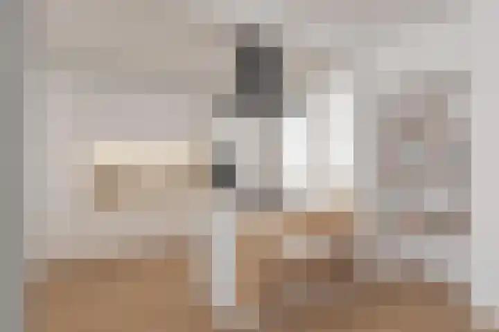 Lindenplein 5 Sint-Michielsgestel thumbnail 10