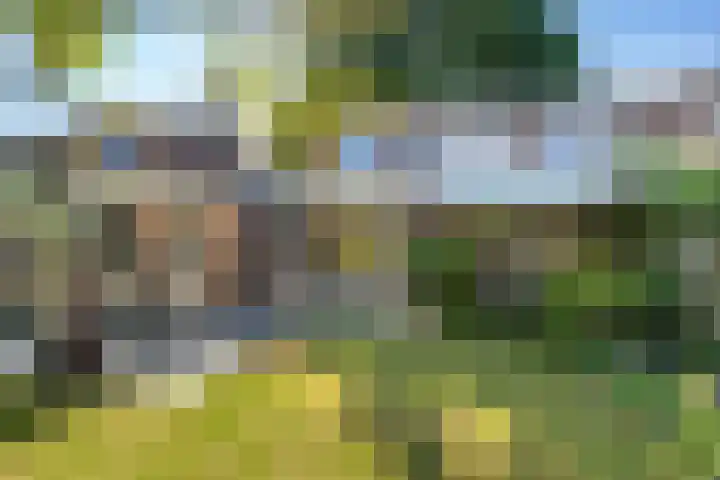 Lindenplein 5 Sint-Michielsgestel thumbnail 23