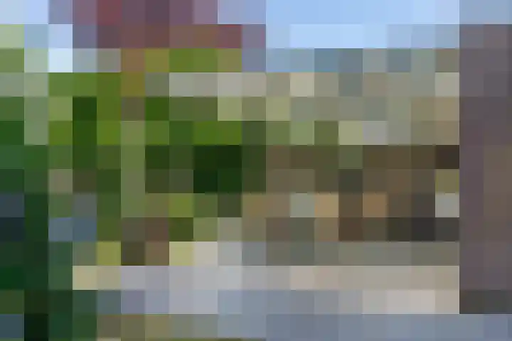 Lindenplein 5 Sint-Michielsgestel thumbnail 24