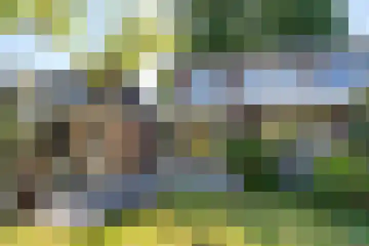 Lindenplein 5 Sint-Michielsgestel thumbnail 25