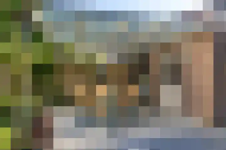 Lindenplein 5 Sint-Michielsgestel thumbnail 26