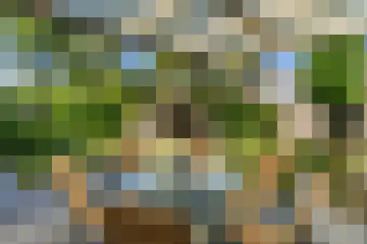 Lindenplein 5 Sint-Michielsgestel thumbnail 27