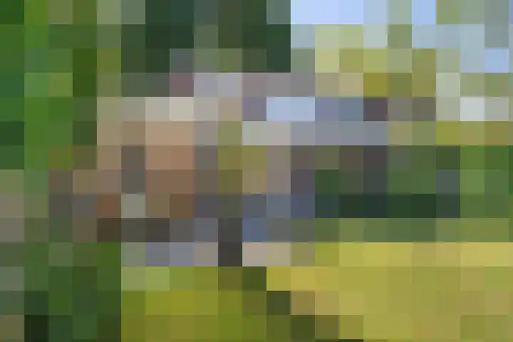 Lindenplein 5 Sint-Michielsgestel thumbnail 28