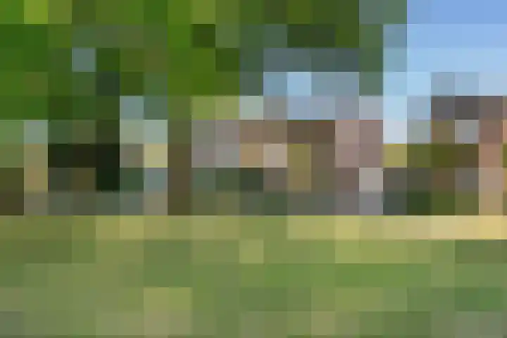 Lindenplein 5 Sint-Michielsgestel thumbnail 29