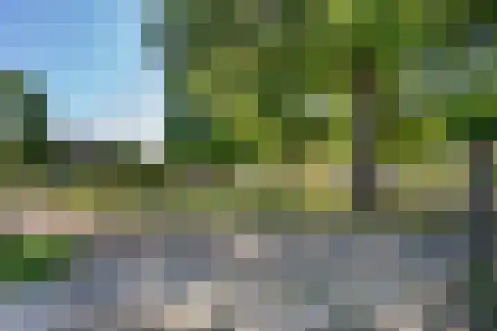 Lindenplein 5 Sint-Michielsgestel thumbnail 30