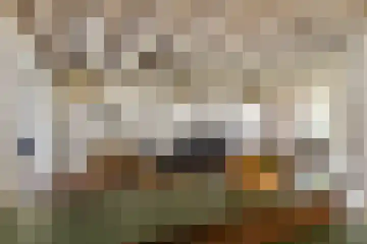 Lindenplein 5 Sint-Michielsgestel thumbnail 8