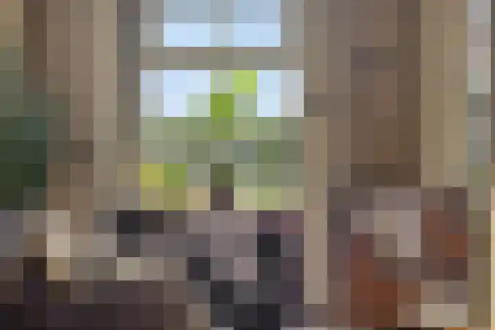 Lindensteeg 24 Wanroij thumbnail 15