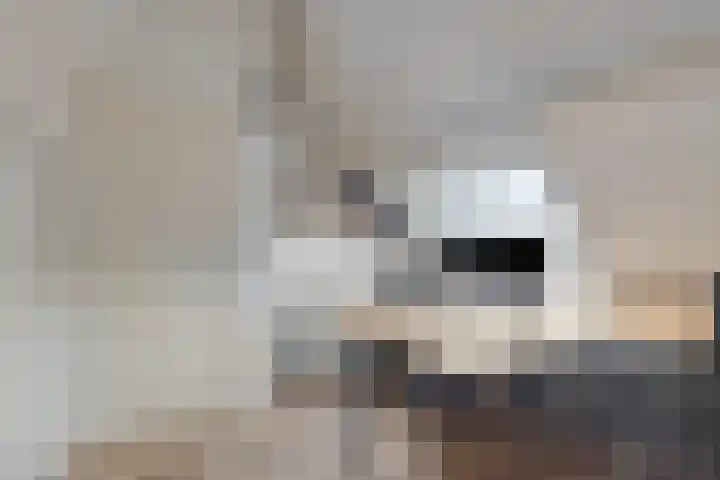 Lindensteeg 24 Wanroij thumbnail 47
