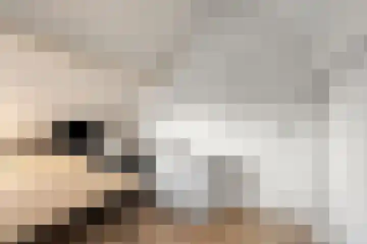 Lindensteeg 24 Wanroij thumbnail 48