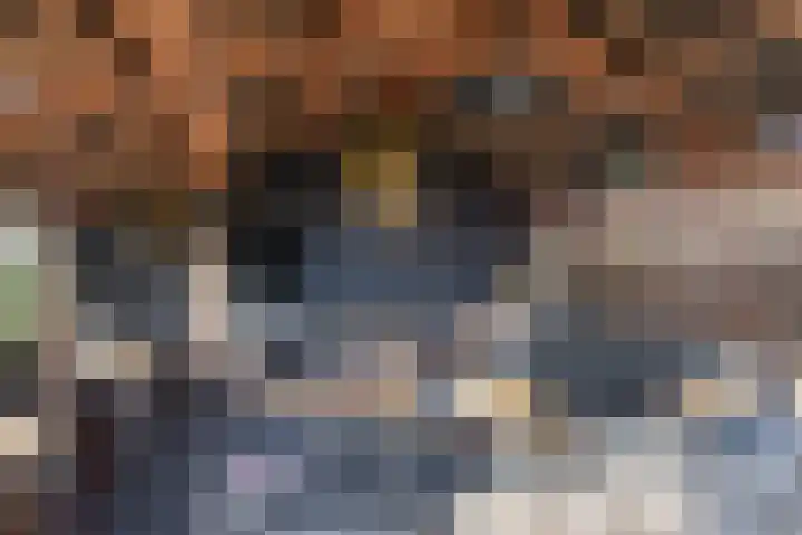 Lindensteeg 24 Wanroij thumbnail 62