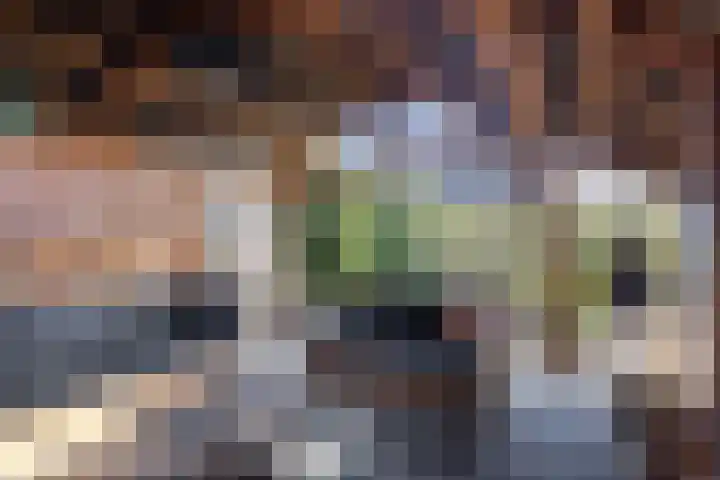 Lindensteeg 24 Wanroij thumbnail 64