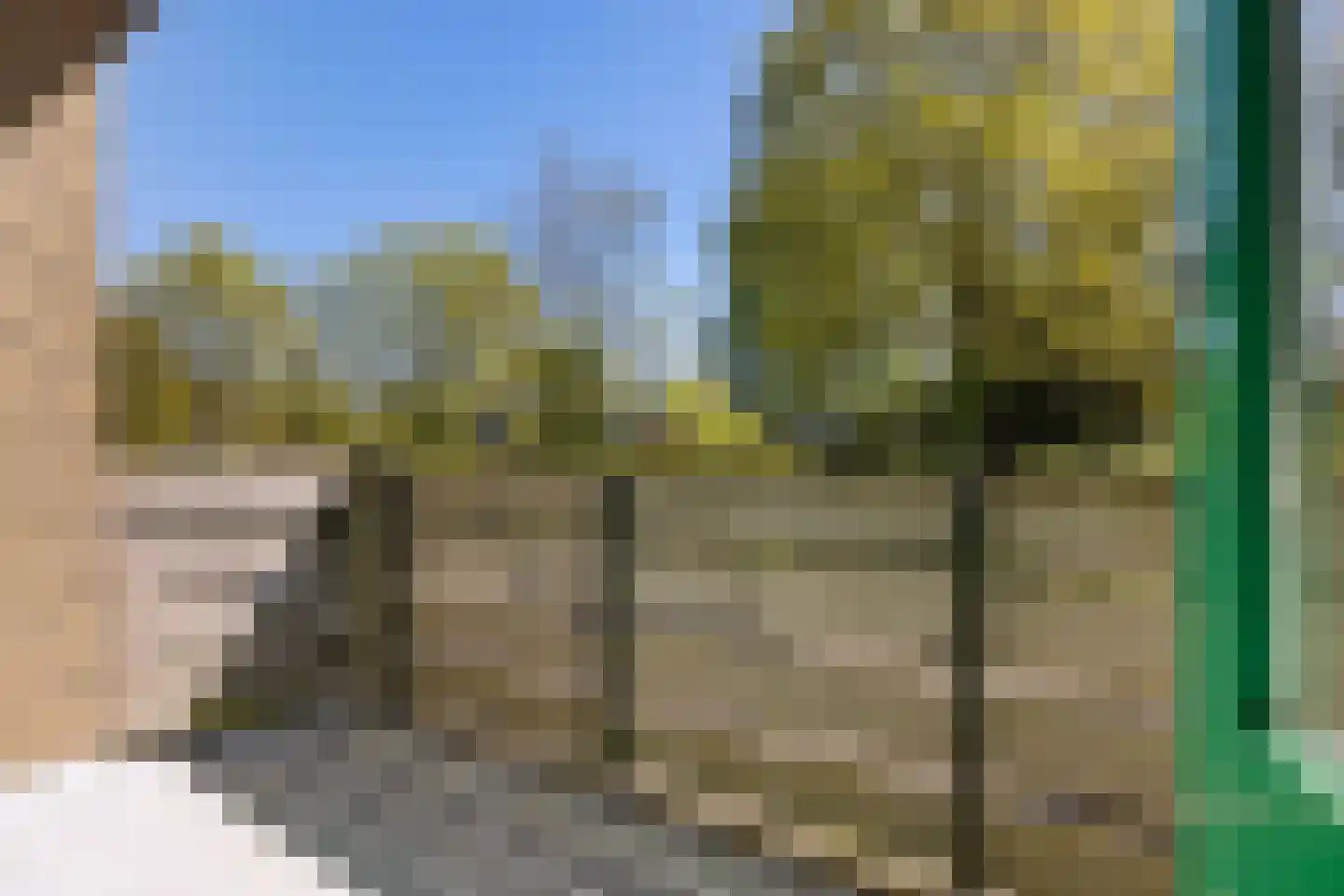 Lindensteinlaan 103 Leek thumbnail 18