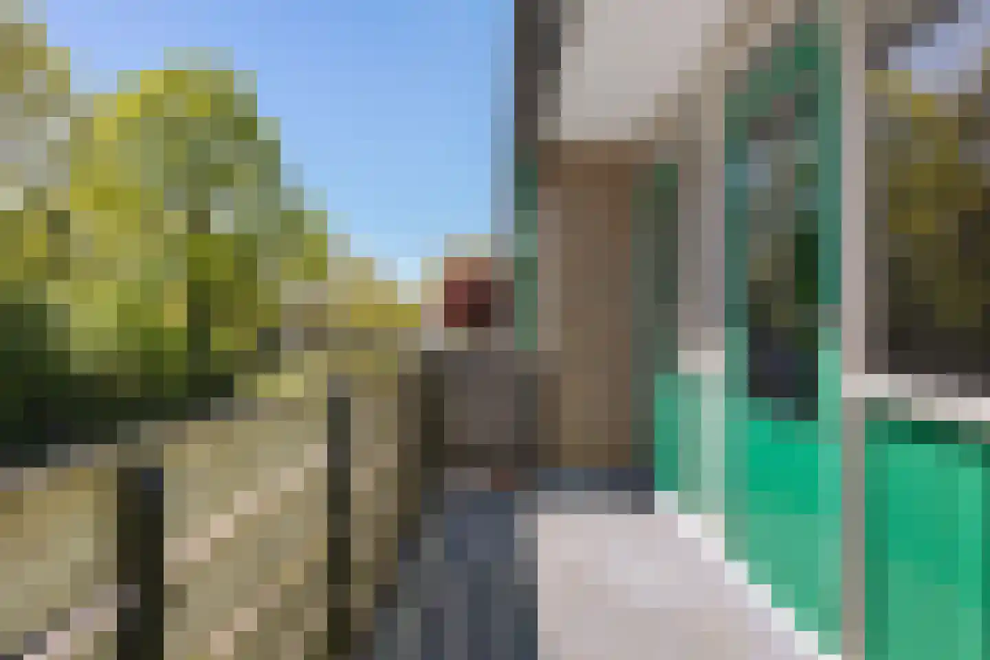 Lindensteinlaan 103 Leek thumbnail 19