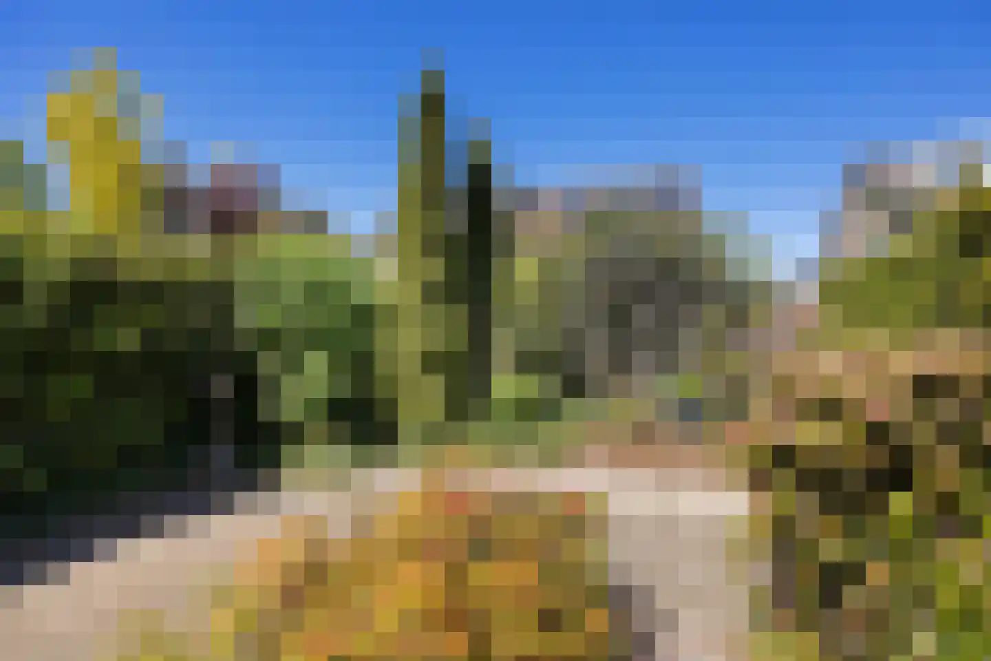 Lindensteinlaan 103 Leek thumbnail 33