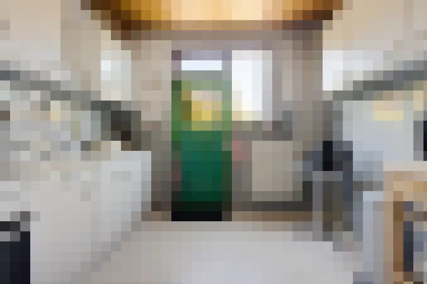 Lindensteinlaan 103 Leek thumbnail 7