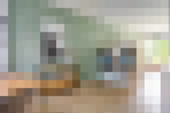 Lindensteinlaan 85 Leek thumbnail 10