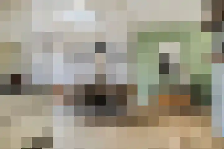 Lindensteinlaan 85 Leek thumbnail 11