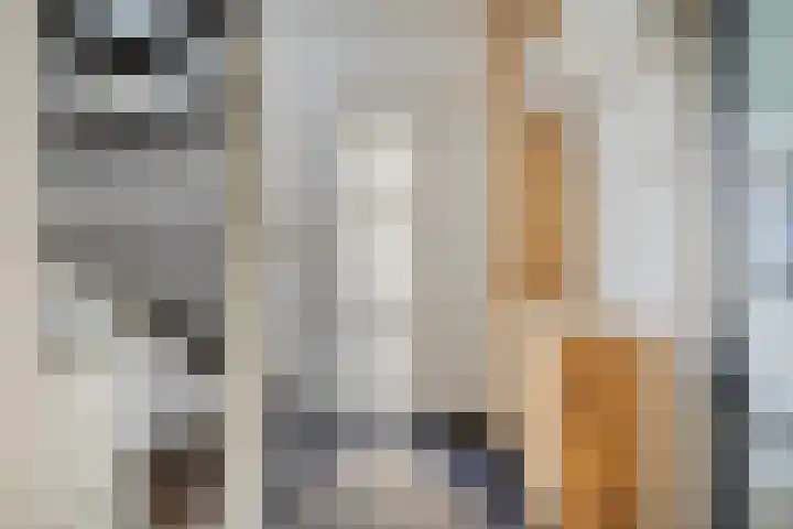 Lindensteinlaan 85 Leek thumbnail 15