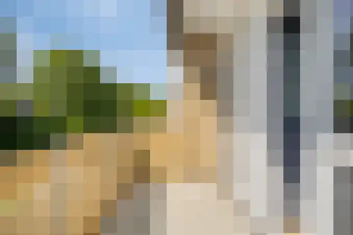 Lindensteinlaan 85 Leek thumbnail 20