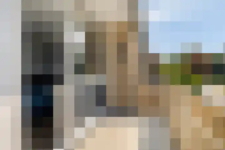 Lindensteinlaan 85 Leek thumbnail 21