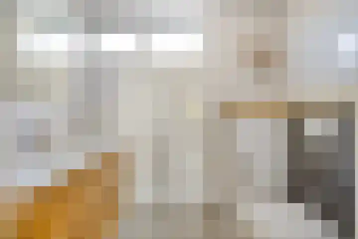 Lindensteinlaan 85 Leek thumbnail 22
