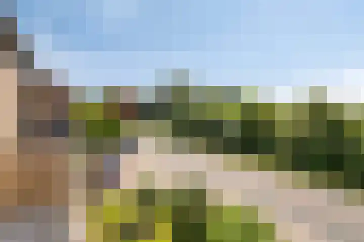 Lindensteinlaan 85 Leek thumbnail 29