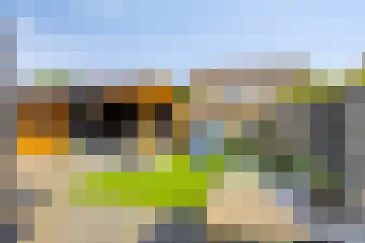 Lindensteinlaan 85 Leek thumbnail 33