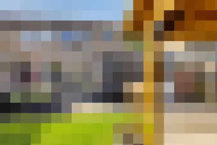 Lindensteinlaan 85 Leek thumbnail 35