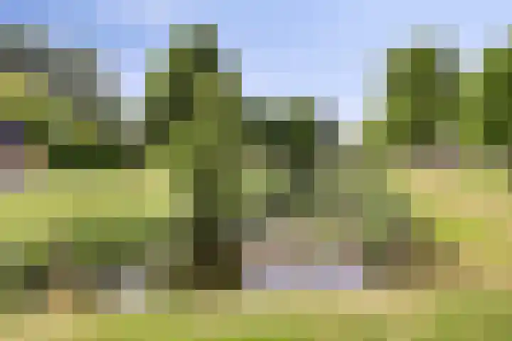 Lindensteinlaan 85 Leek thumbnail 42