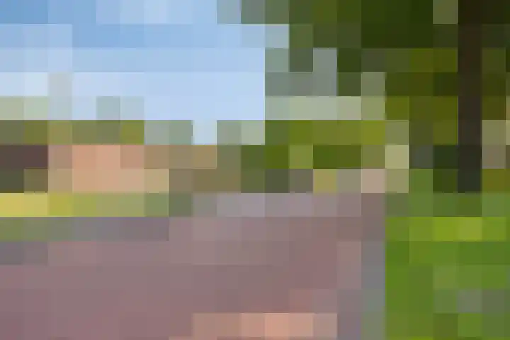 Lindensteinlaan 85 Leek thumbnail 43