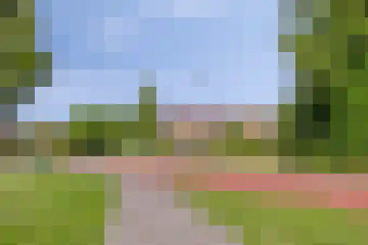 Lindensteinlaan 85 Leek thumbnail 44
