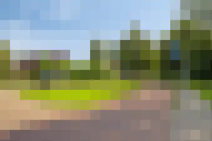 Lindensteinlaan 85 Leek thumbnail 45