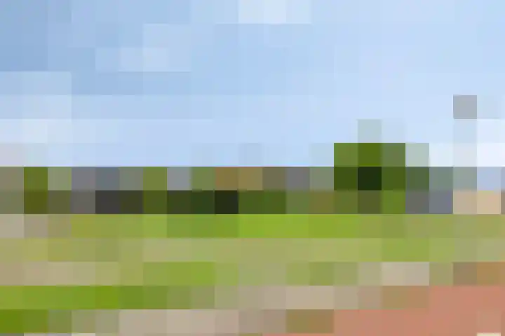 Lindensteinlaan 85 Leek thumbnail 46