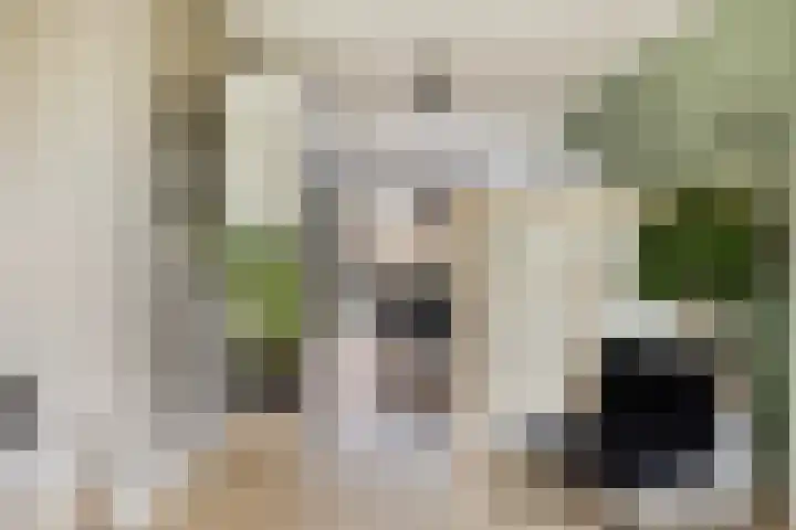 Lindensteinlaan 85 Leek thumbnail 5