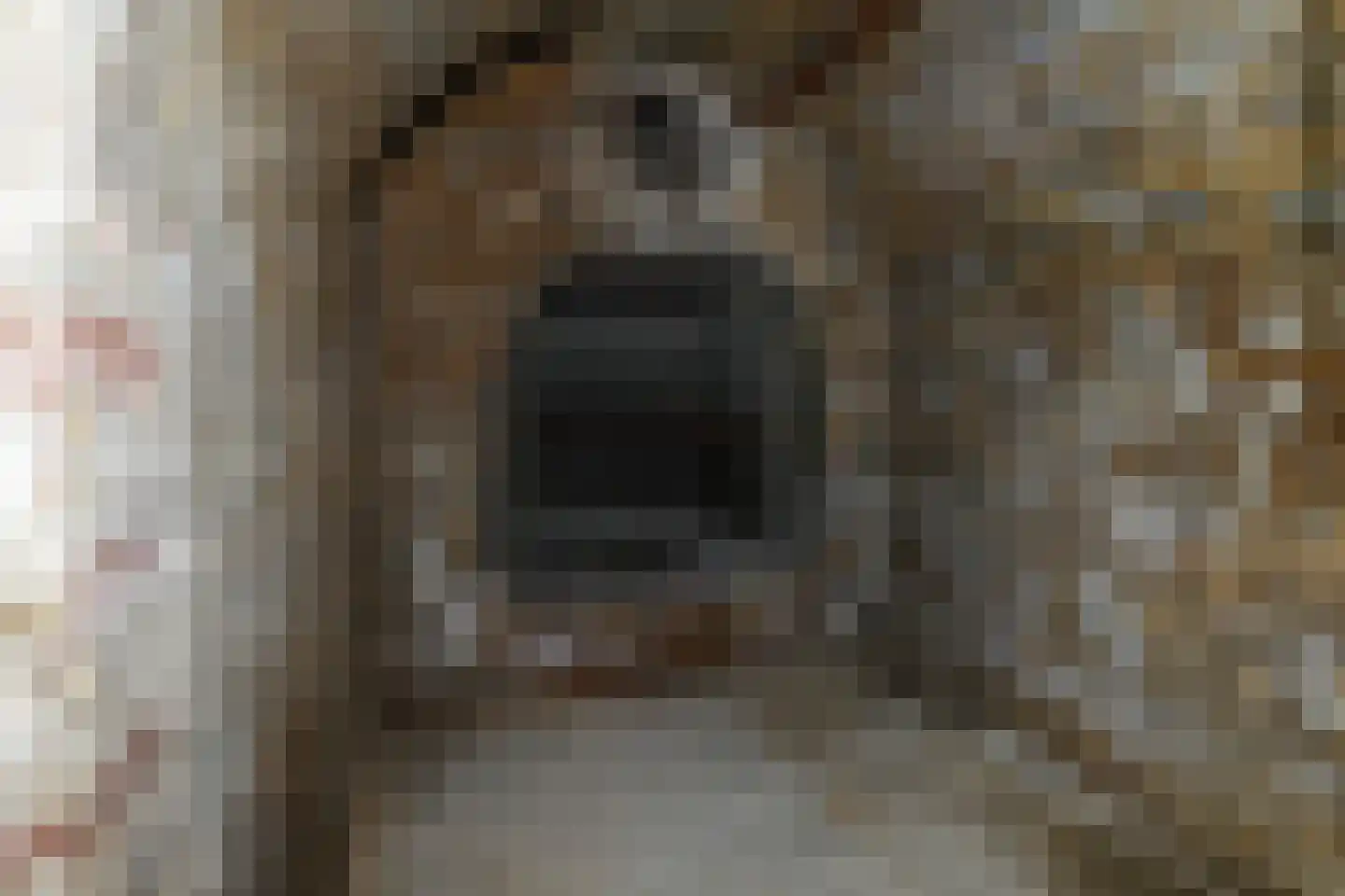 Lindenstraat 1 Vaals thumbnail 42