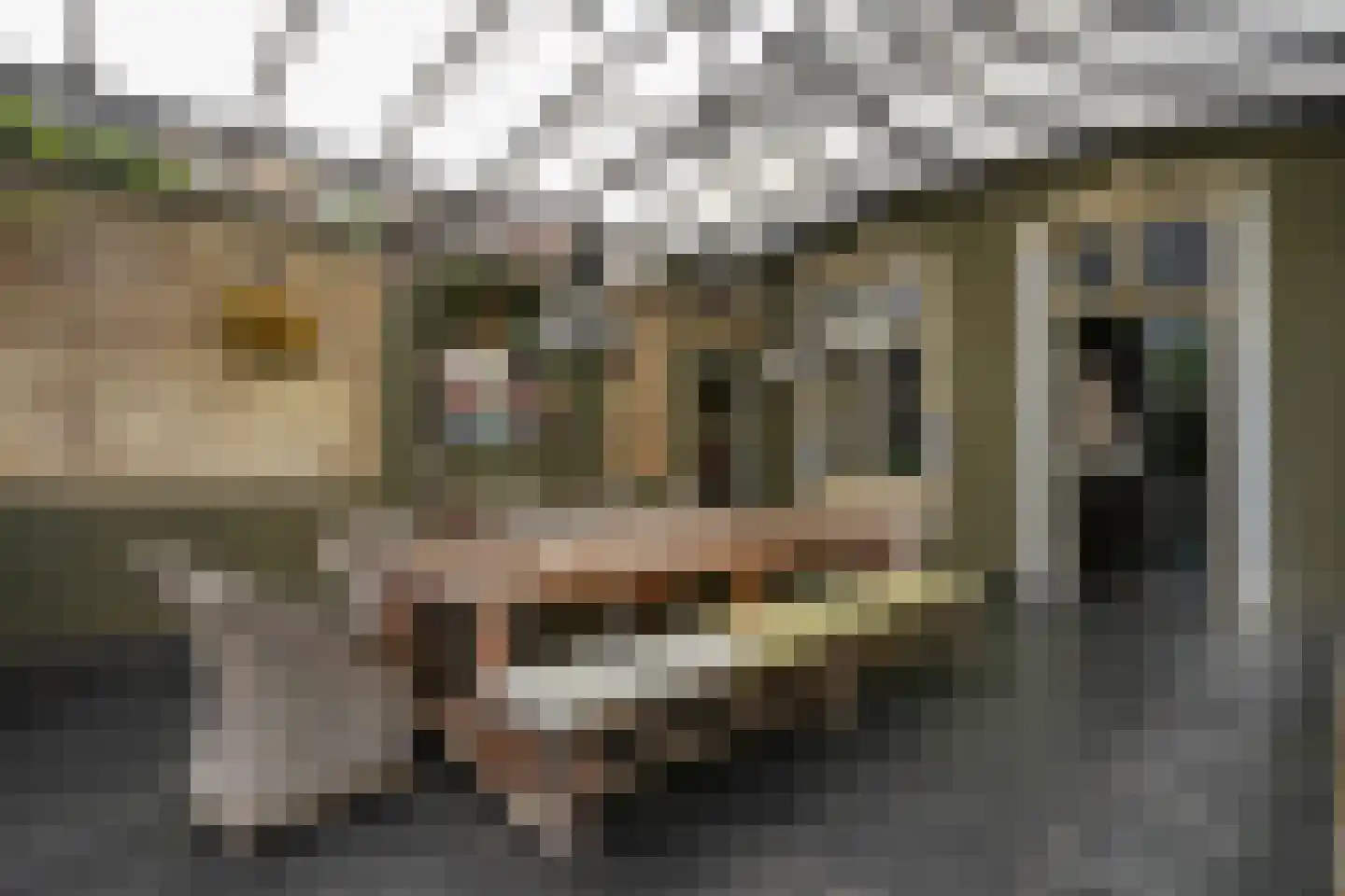 Lindenstraat 1 Vaals thumbnail 43