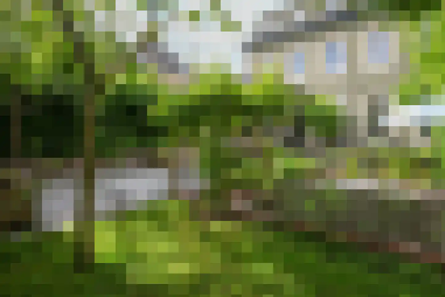 Lindenstraat 1 Vaals thumbnail 44