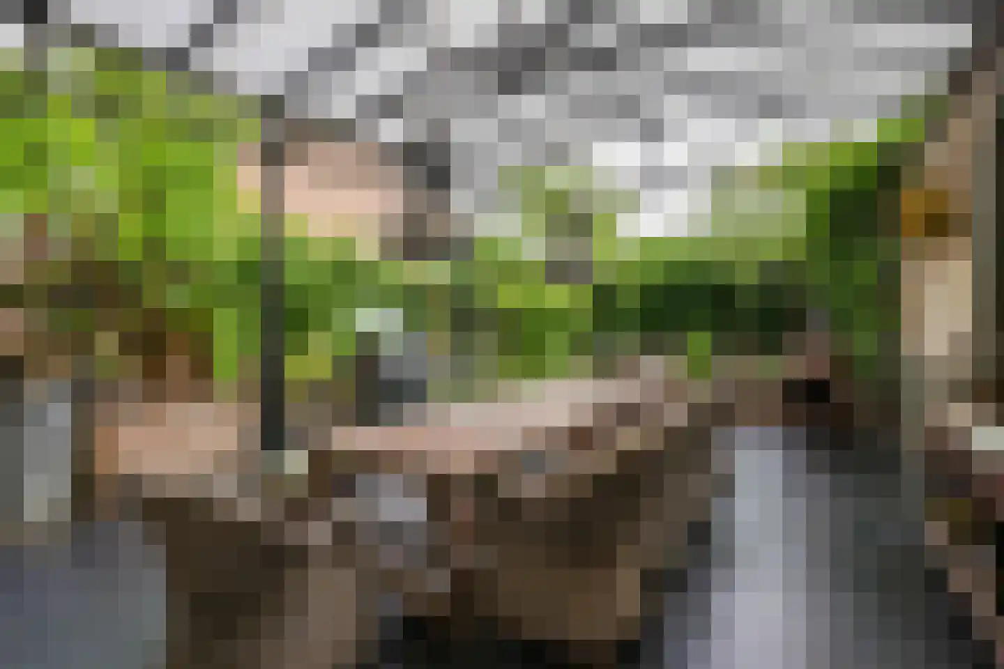 Lindenstraat 1 Vaals thumbnail 45
