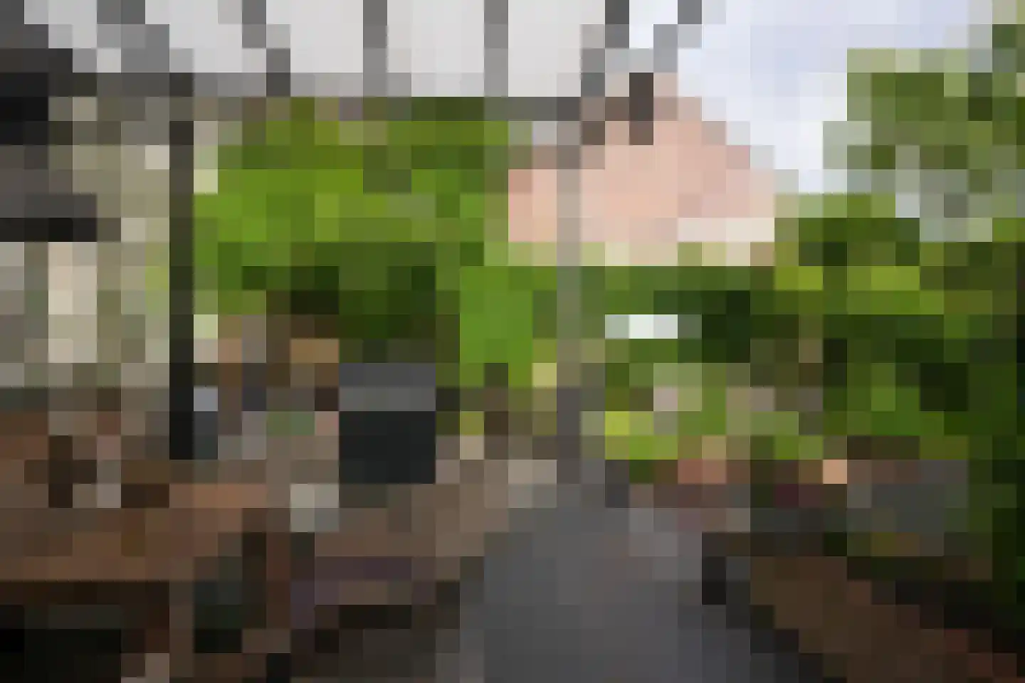 Lindenstraat 1 Vaals thumbnail 48