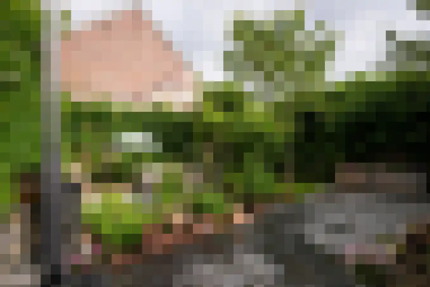 Lindenstraat 1 Vaals thumbnail 49